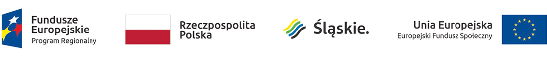 logo_fe_flaga-pl_wsl_uefs