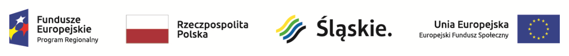 logotyp _ślaskie.zawodowcy
