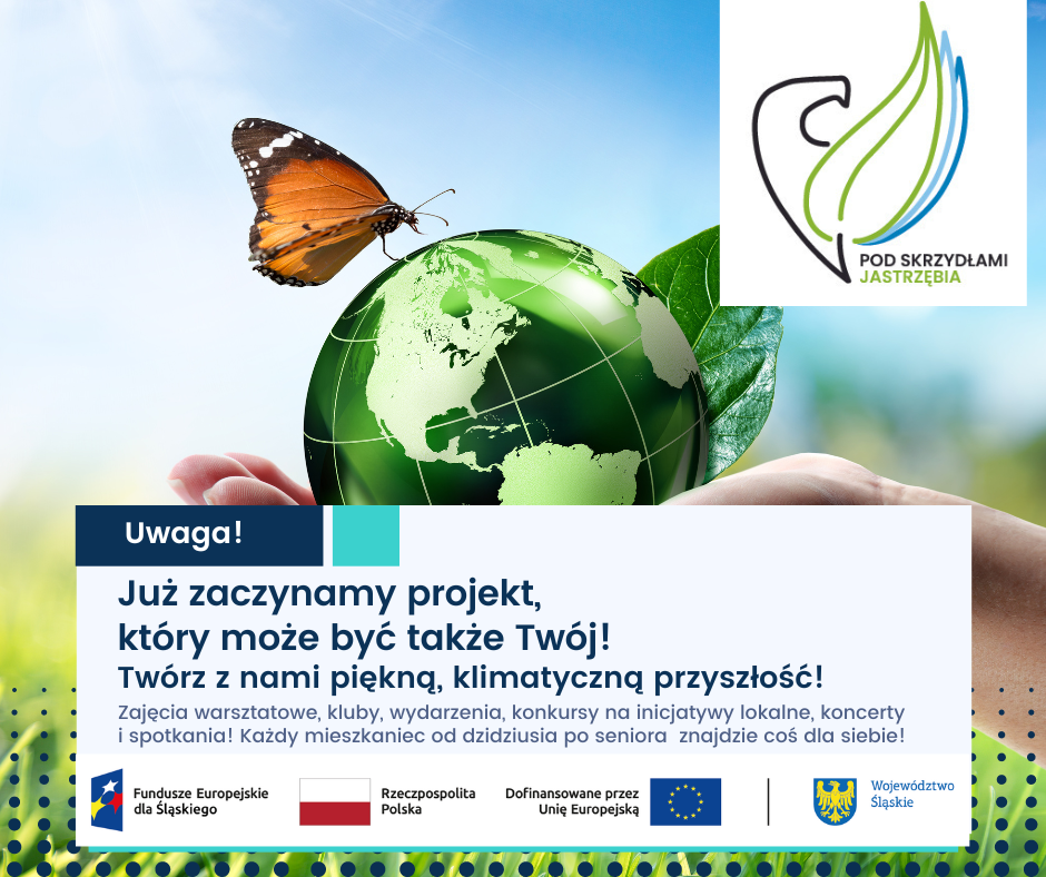 TWÓJ PROJEKT (003)